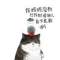 ╰凋的頭像