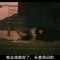 無為與華。的頭像