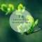 領(lǐng)悟的頭像