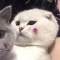 猜猜，你是誰(shuí)的頭像