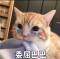 Iamfine我沒事的頭像